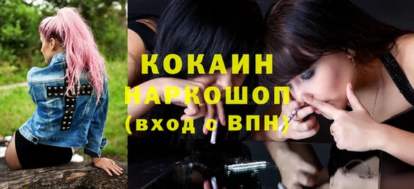 apvp Алзамай